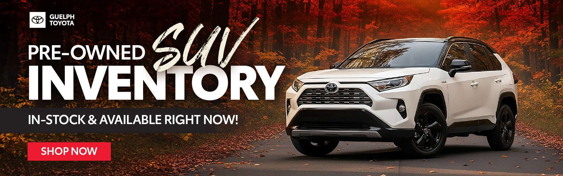 Guelph Toyota Pre-Owned SUV